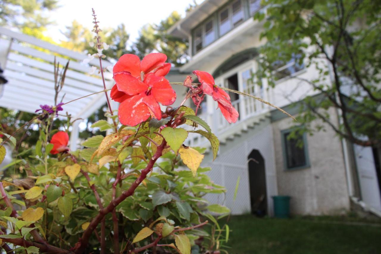 The Hillside B&B. Home W/ Breakfast Service! Wisconsin Dells Exterior photo